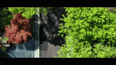 若是告贷行公证